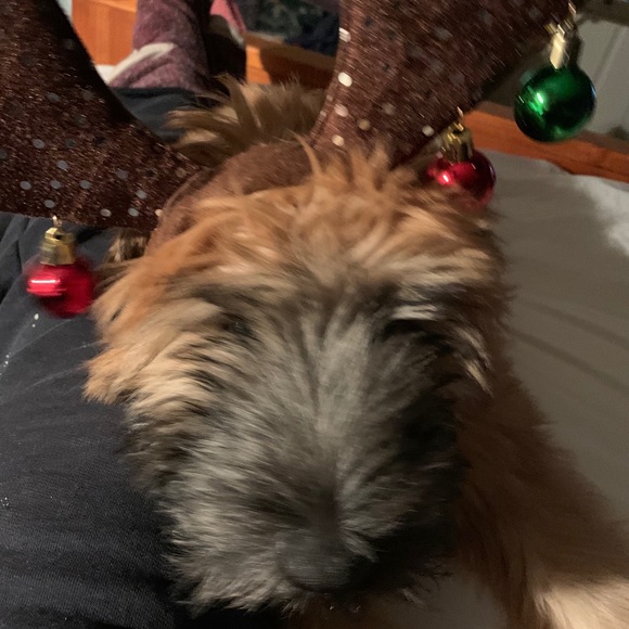 Meet your Posher, Denise - Picture 1 of 1